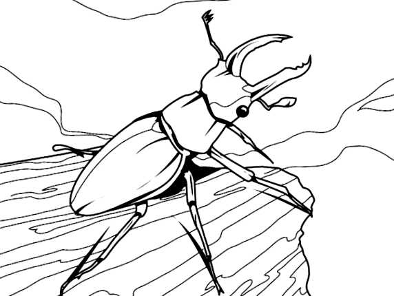 Сливовая муха Новый враг в вашем саду Плоды, пораженные мухой, также часто